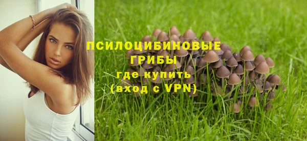 эйфоретик Медвежьегорск