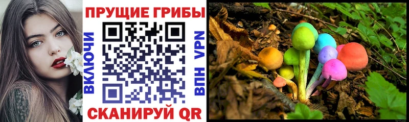 Галлюциногенные грибы мицелий  Купить закладки  Кувандык 