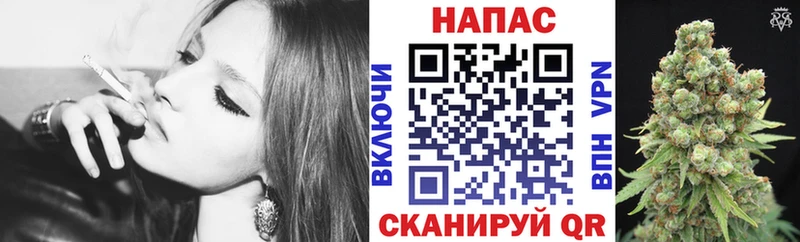 Купить где  Кувандык  Каннабис SATIVA & INDICA 
